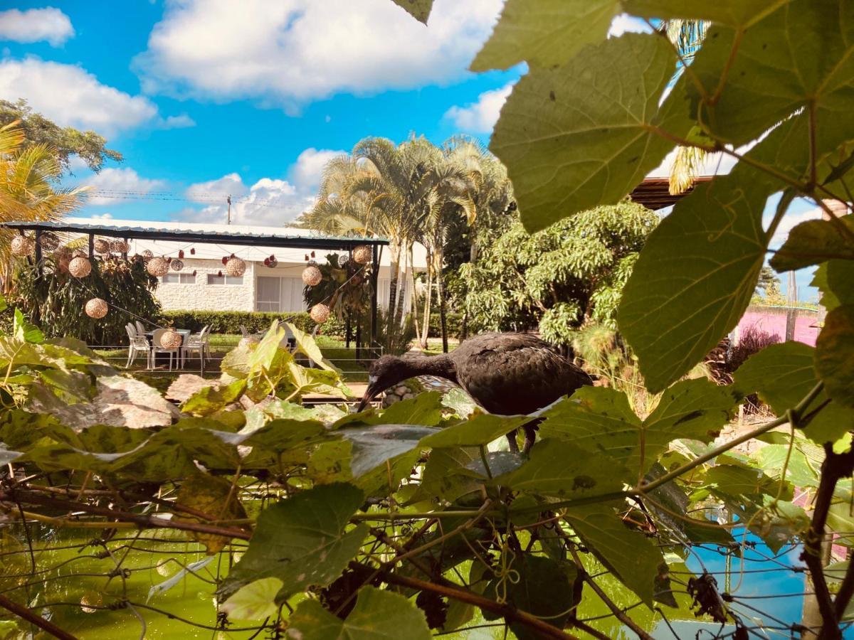Villa Cristal Santa Elena  Esterno foto